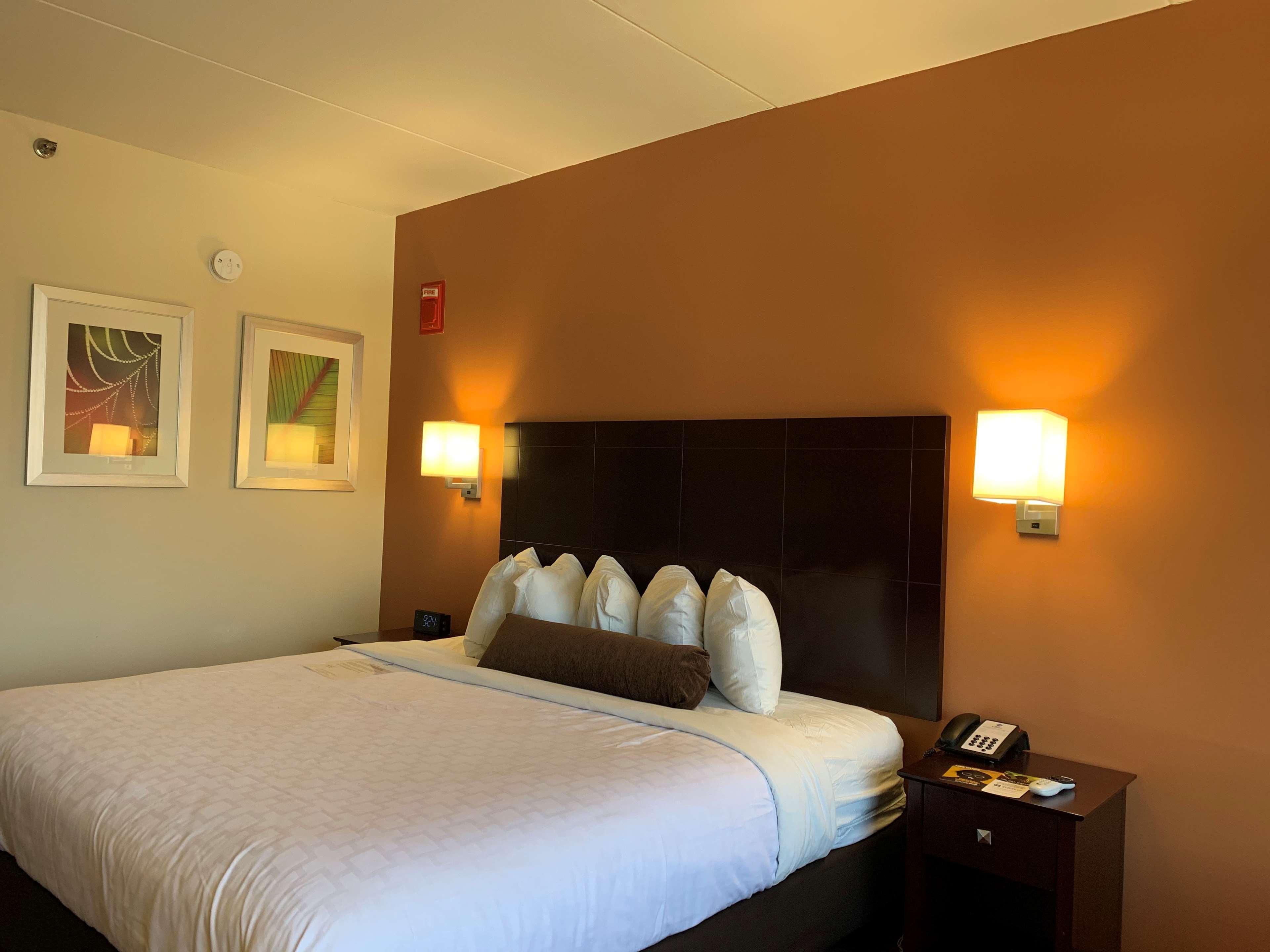 Best Western Executive Hotel New Haven-West Haven Luaran gambar